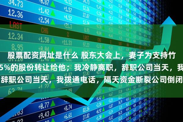 股票配资网址是什么 股东大会上，妻子为支持竹马当总裁，宣布将名下5%的股份转让给他；我冷静离职，辞职公司当天，我拨通电话，隔天资金断裂公司倒闭，她疯了