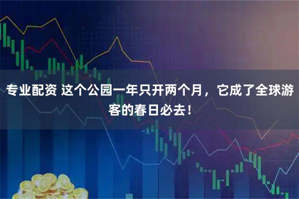专业配资 这个公园一年只开两个月，它成了全球游客的春日必去！